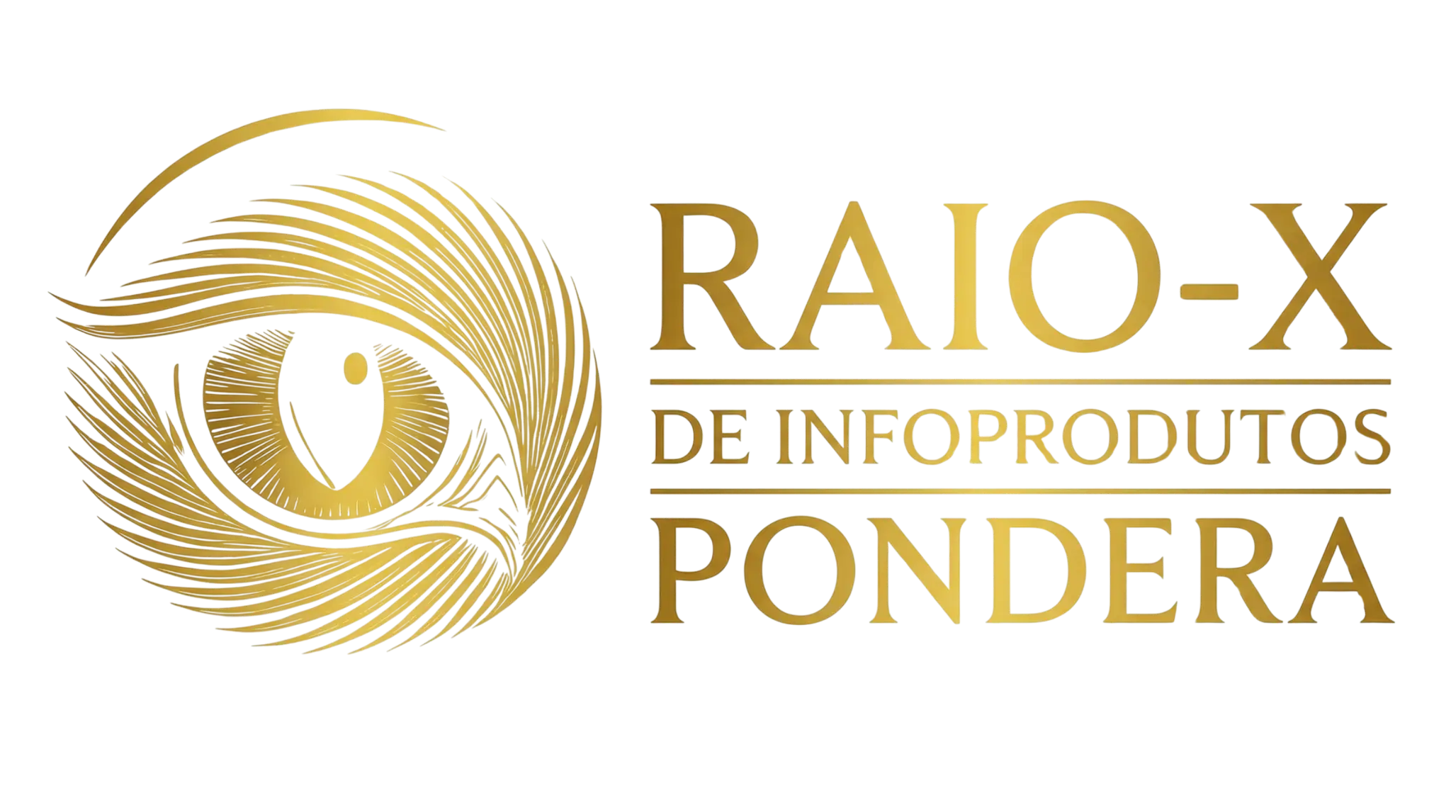 Raio-X de Infoprodutos Logo